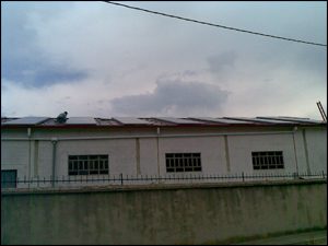 arbejal